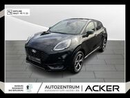 Ford Puma, 1.0 EcoBoost Hybrid ST-Line MY24 SYNC4, Jahr 2024 - Marburg