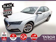 Skoda Octavia, Lim TDI 150 Selec, Jahr 2024 - Kehl