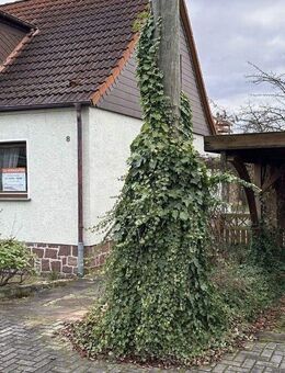 Gepflegte Doppelhaushälfte mit Potenzial in beliebter Lage von Zscherndorf - Sandersdorf Sandersdorf