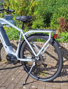 Maxtron MTS-20X Herren Trekking SUV E-Bike Neu - Seelbach (Baden-Württemberg)