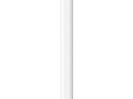 Apple Pencil (USB C): Pixelgenaue Präzision, Neigungssensitivität und branchenführende niedrige Latenz zum Notizenmachen, Zeichnen und Unterschreiben von Dokumenten. Lädt und koppelt über USB C - Neuwied