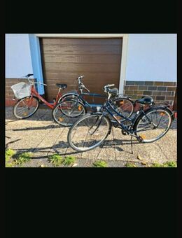 3 Fahrräder - Buttlar