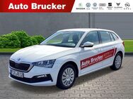 Skoda Scala Cool Plus 1.0 TSI LED Klimaanlage PDC SHZ - Marktredwitz