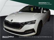 Skoda Octavia, 1.5 TSI Combi Ambition APP, Jahr 2024 - Neu Ulm