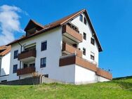 Sonnige 2-Raum Hochparterre Wohnung in beliebter Lage von Auerbach - Auerbach (Vogtland)