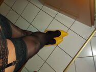 Welche Sissy, TV, DWT hat Lust mir den Druck zu nehmen. - Bad Vilbel