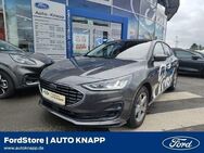 Ford Focus, Titanium X MHEV digitales, Jahr 2023 - Weinheim