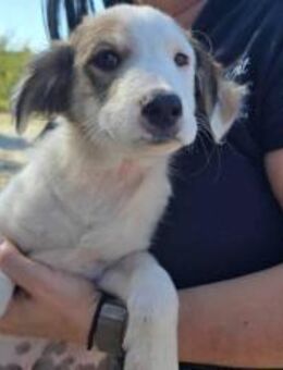 Wer schenkt Hakon sein Ticket ins Glück? - München