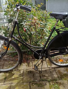 Hollandrad Gazelle 28 " - Düsseldorf