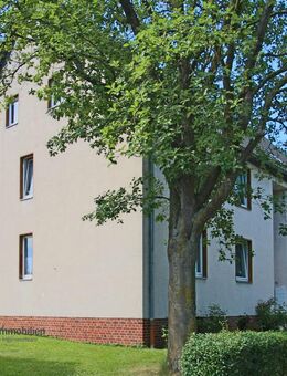 Pfiffige Dachgeschosswohnung in Bramsche zu sofort zu vermieten. - Bramsche