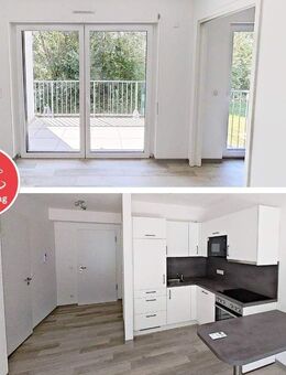 Wohnen in Greifswald in modernem 2-Zimmer-Apartment - Greifswald
