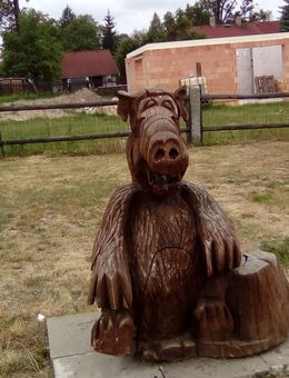 Es soll einfach nur Freundschaft sein - Brandenburg (Havel)