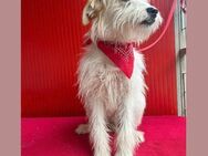 ❤️ charmanter kleiner MOKI ❤️ - Mamming