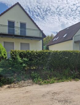 2 Einzelnstehende Ferienhäuser am Fleesensee - Mecklenburgische Seenplatte - in traumhafter Lage - Fünfseen