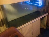 Aquarium 500 Liter kostenlos abholen sofort - Schweinfurt