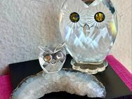 seltene grosse hübsche Swarovski Eule 8.5 hoch x 6cm breit✨✨ - Zürich