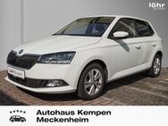 Skoda Fabia, 1.0 TSI Style, Jahr 2019 - Meckenheim