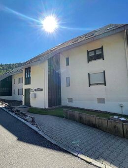 Vollmöbilierte Top ausgestattete 1-Zimmer Wohnung in Todtmoos (124) - Todtmoos