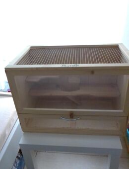 Holzkäfig Mäuse Kleinnager gebraucht - Grefrath (Sport- und Freizeitgemeinde)