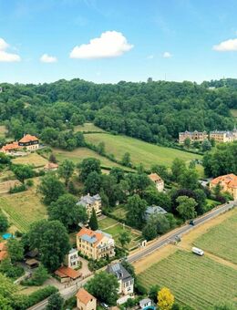 Exklusive Erdgeschosswohnung in den Weinbergen, Südterrasse (60 m²) und Garten, Stellplätze - Radebeul