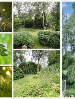 6-Zimmer Familienidyll für Tierfreunde & Naturliebhaber - Welle