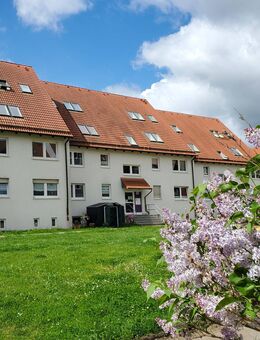 2 Monate kaltmietfrei: Single-Apartment mit Badewanne - Halberstadt
