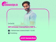 ERP Inhouse-Consultant / ERP Key-User (m/w/d) - Rosenberg (Regierungsbezirk Stuttgart)