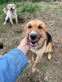 🌸Freundliche Sheila sucht dich🌸 - Eislingen (Fils)