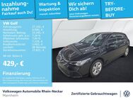 VW Golf, 2.0 TDI VIII Life, Jahr 2024 - Mannheim