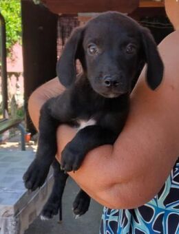 Maxi 💗offener, lieber, verschmuster Bub - Hamburg