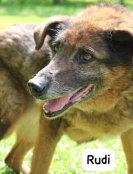 Oma Rudi Eine ruhige Seele sucht ... - Kissing