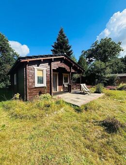 Charmantes Holzhaus in Zeven – Ihr Rückzugsort im Grünen - Zeven