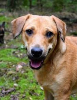 Wirbelwind Maddy - Berlin