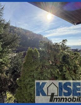 Frisch sanierte Wohnung mit Ausblick und stadtnaher Lage - Waldshut-Tiengen