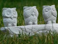 Eulen - hören, sehen und sprechen nichts Böses - voller Stein - Heek