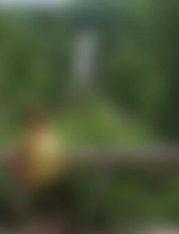 ecl*** - Langenwetzendorf