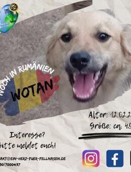 WOTAN-möche Deine Familie perfekt machen - Waakirchen