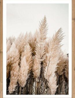 Bönninghoff Bild mit Rahmen, Gräser, Natur, Pflanzen, Pflanzenbilder (1 St)
