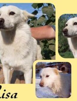 Bezaubernde Lisa! - Köln