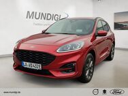 Ford Kuga, ST-Line X, Jahr 2024 - Landshut