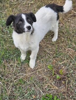 Süße Sissi wartet schon lange! - Nürnberg