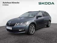 Skoda Octavia, 1.4 TSI Combi Drive, Jahr 2017 - Uelzen