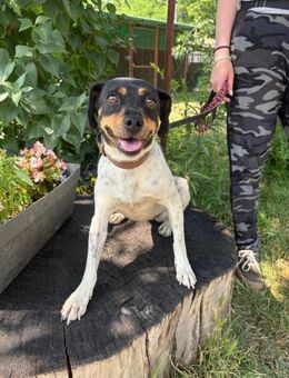 Maribel sucht ihre Herzensmenschen - Heinsberg