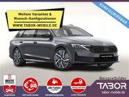 Skoda Octavia, Combi TDI Sportl Facel, Jahr 2024 - Kehl