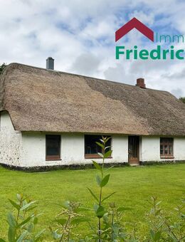 Historisches Bauernhaus mit Stallteil unter Reetdach - Ostenfeld (Husum)