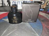 Chogan Parfum No. 001 (One Million) - Holzwickede