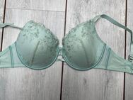 BH 80F mintfarben von Hunkemöller - Norden