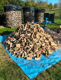 Brennholz Esche trocken - Rehna