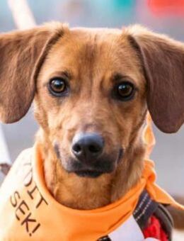 TWIX - einfach nur süß ! - Seggebruch