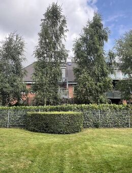 DESIGN TRIFFT NATUR IM GARTEN-PARADIES - Husum (Schleswig-Holstein)
